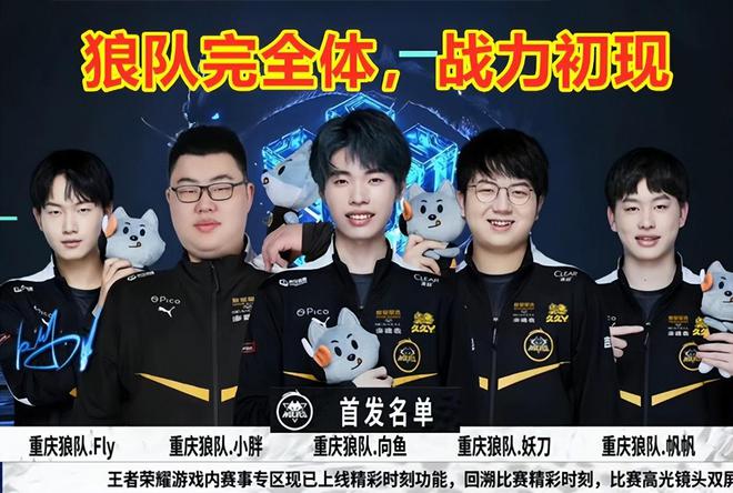 不仅增强了